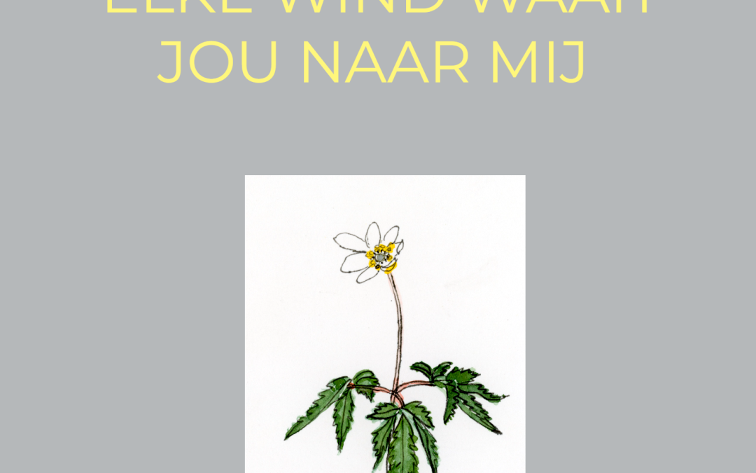 Dichtbundel ‘Elke wind waait jou naar mij’